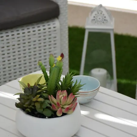 Terrazza Sole E Stelle Appartement