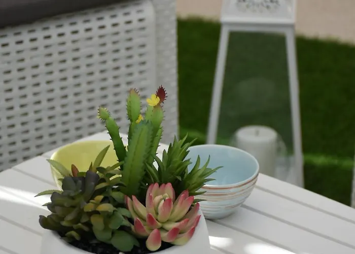 Terrazza Sole E Stelle Appartement