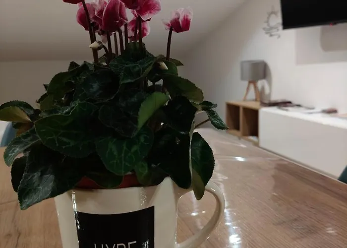 Terrazza Sole E Stelle Matera